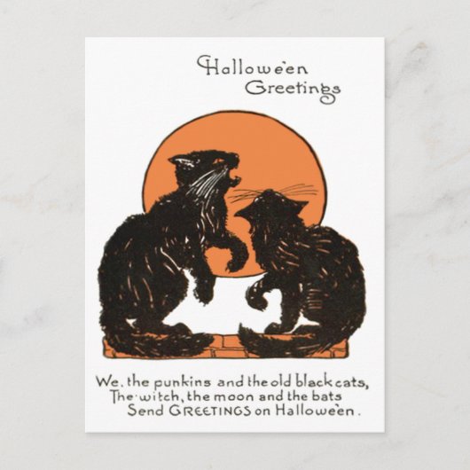 Carte Postale Chat noir pleine lune orange noir (Devant)