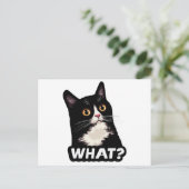 Carte Postale Chat Noir Quoi? (Debout devant)