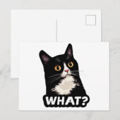 Carte Postale Chat Noir Quoi? (Devant / Derrière)