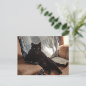 Carte Postale Chat noir ressemblant à un patron (Debout devant)