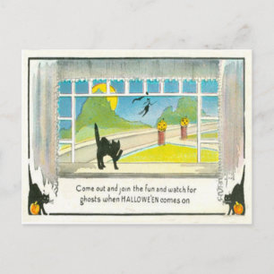 Carte Postale Chat Noir Sorcière Fenêtre Citrouille Jack O Lante