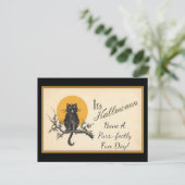 Carte Postale Chat noir vintage (Debout devant)
