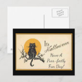 Carte Postale Chat noir vintage (Devant / Derrière)