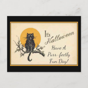 Carte Postale Chat noir vintage