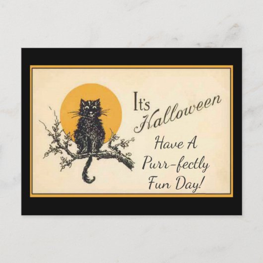 Carte Postale Chat noir vintage (Devant)