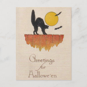 Carte Postale Chat noir vintage, cri, Halloween