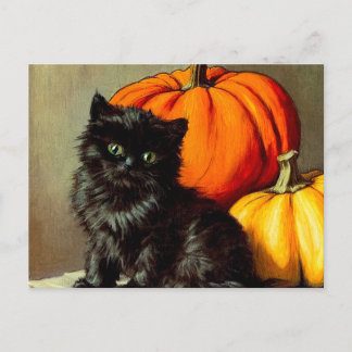 Carte Postale Chat noir vintage d'Halloween et Citrouilles