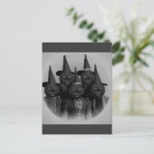 Carte Postale Chat noir vintage/sorcières (Debout devant)