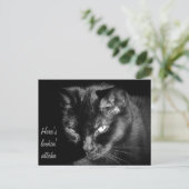 Carte Postale Chat Noir Vous Regardant (Debout devant)