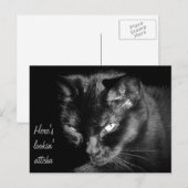 Carte Postale Chat Noir Vous Regardant (Devant / Derrière)