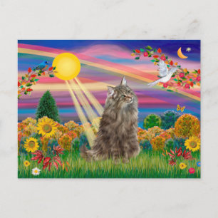Carte Postale Chat norvégien tabby - Soleil d'automne