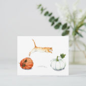 Carte Postale Chat orange Saupoudré entre Citrouilles (Debout devant)