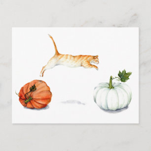 Carte Postale Chat orange Saupoudré entre Citrouilles