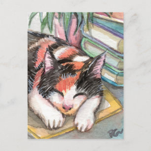 Carte Postale Chat par les livres