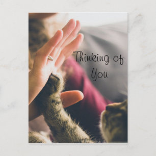 Carte Postale Chat Paw Donnant High-5