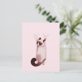 Carte Postale Chat pendu (Debout devant)