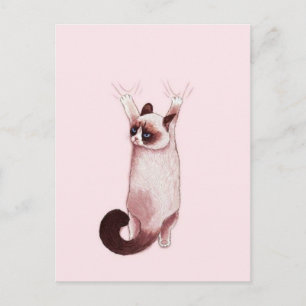 Carte Postale Chat pendu