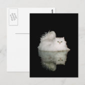 Carte Postale Chat Persan aux Yeux Vert Jade (Devant / Derrière)
