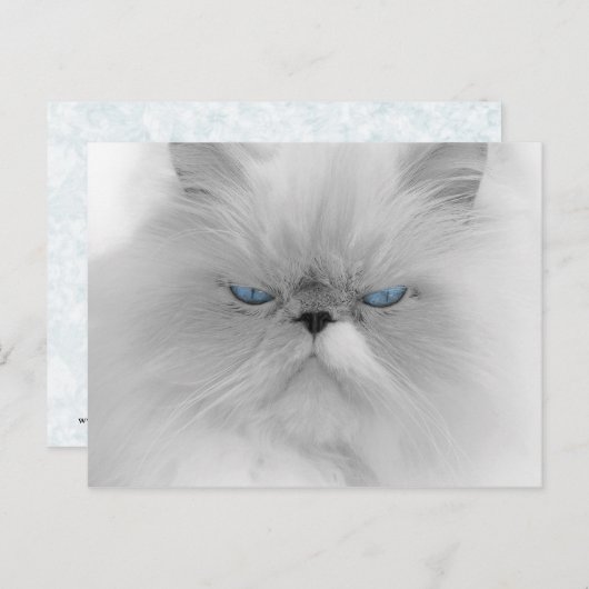 Carte Postale Chat persan Grouchy (Devant / Derrière)
