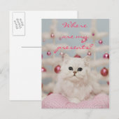 Carte Postale Chat perse assis sur un coussin rose (Devant / Derrière)