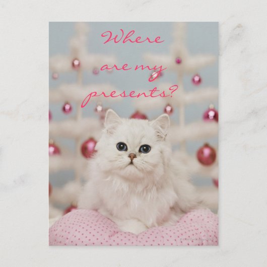 Carte Postale Chat perse assis sur un coussin rose (Devant)