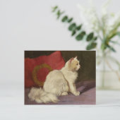 Carte Postale Chat perse blanc (Debout devant)