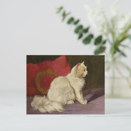 Carte Postale Chat perse blanc (Debout devant)
