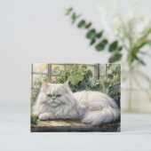 Carte Postale Chat perse blanc bouffant dans un jardin (Debout devant)