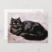 Carte Postale Chat perse noir (Devant / Derrière)