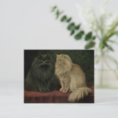 Carte Postale Chat perse vintage (Debout devant)