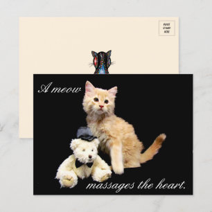 Carte Postale Chat Pic - Couché de soleil et ours en peluche