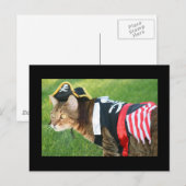 Carte Postale Chat pirate (Devant / Derrière)
