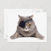 Carte Postale Chat pirate (Devant / Derrière)