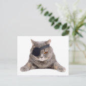 Carte Postale Chat pirate (Debout devant)