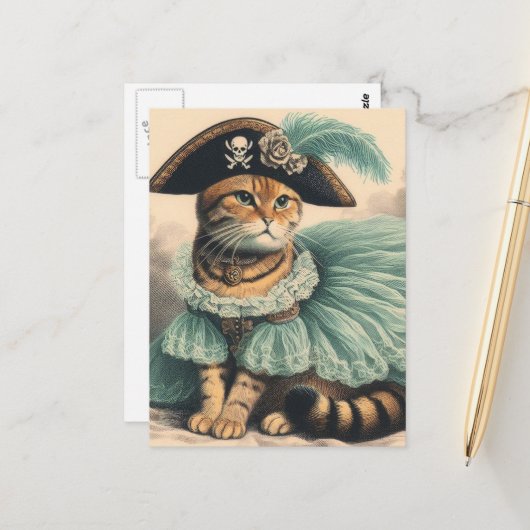 Carte Postale Chat pirate adorable (Devant/Arrière en situation)