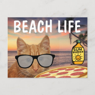 CARTE POSTALE CHAT PLAGE PIZZA