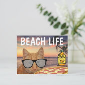CARTE POSTALE CHAT PLAGE PIZZA (Debout devant)