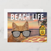 CARTE POSTALE CHAT PLAGE PIZZA (Devant / Derrière)