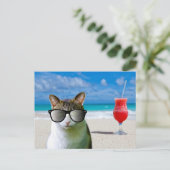 CARTE POSTALE CHAT PORTANT DES LUNETTES DE SOLEIL  (Debout devant)