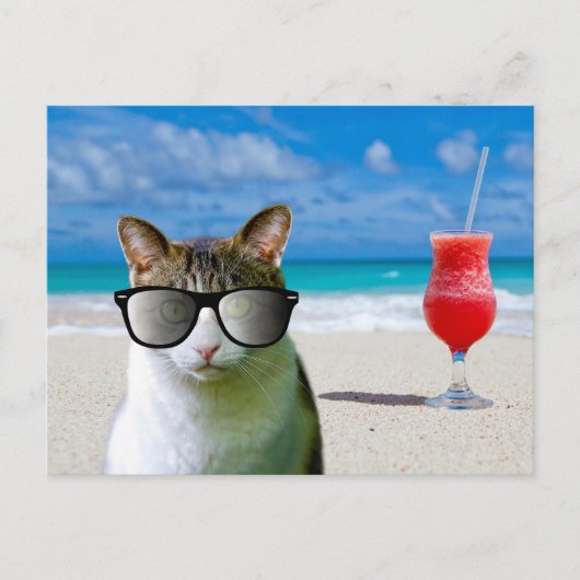 CARTE POSTALE CHAT PORTANT DES LUNETTES DE SOLEIL  (Devant)