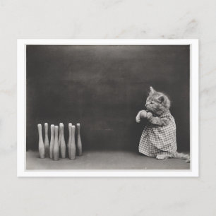 Carte Postale Chat portant des vêtements et bowling Vintage Oddi
