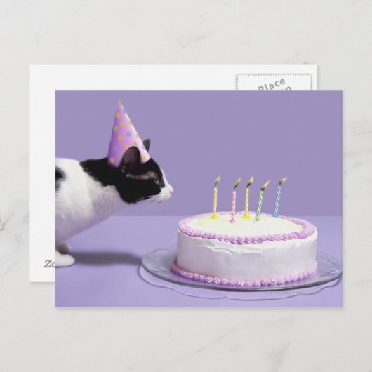 Carte Postale Chat portant un casquette d'anniversaire soufflant (Devant / Derrière)