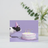 Carte Postale Chat portant un casquette d'anniversaire soufflant (Debout devant)