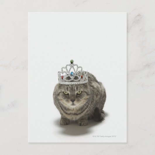 Carte Postale Chat portant une tiara (Devant)