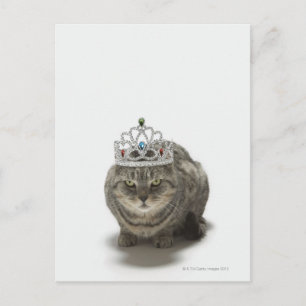 Carte Postale Chat portant une tiara