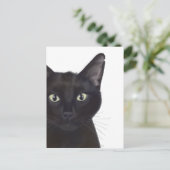 Carte Postale Chat, Portrait de Gus (Debout devant)