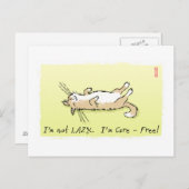 Carte Postale Chat prudent (Devant / Derrière)