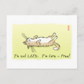 Carte Postale Chat prudent (Devant)