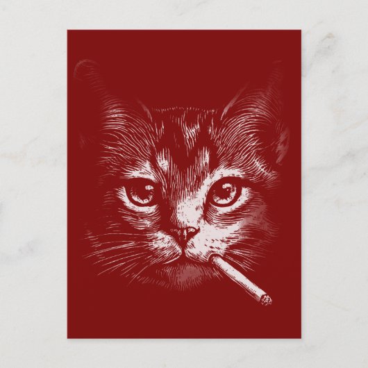 Carte Postale Chat qui Fume Drôle  (Devant)
