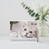 Carte Postale Chat qui va mieux (Debout devant)